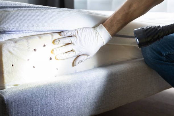 Best Best Pest Control Companies  in Batesburg Leesville, SC