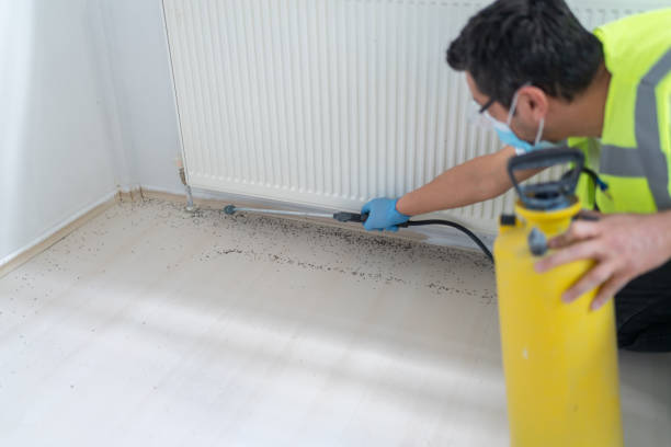 Best Residential Pest Control  in Batesburg Leesville, SC